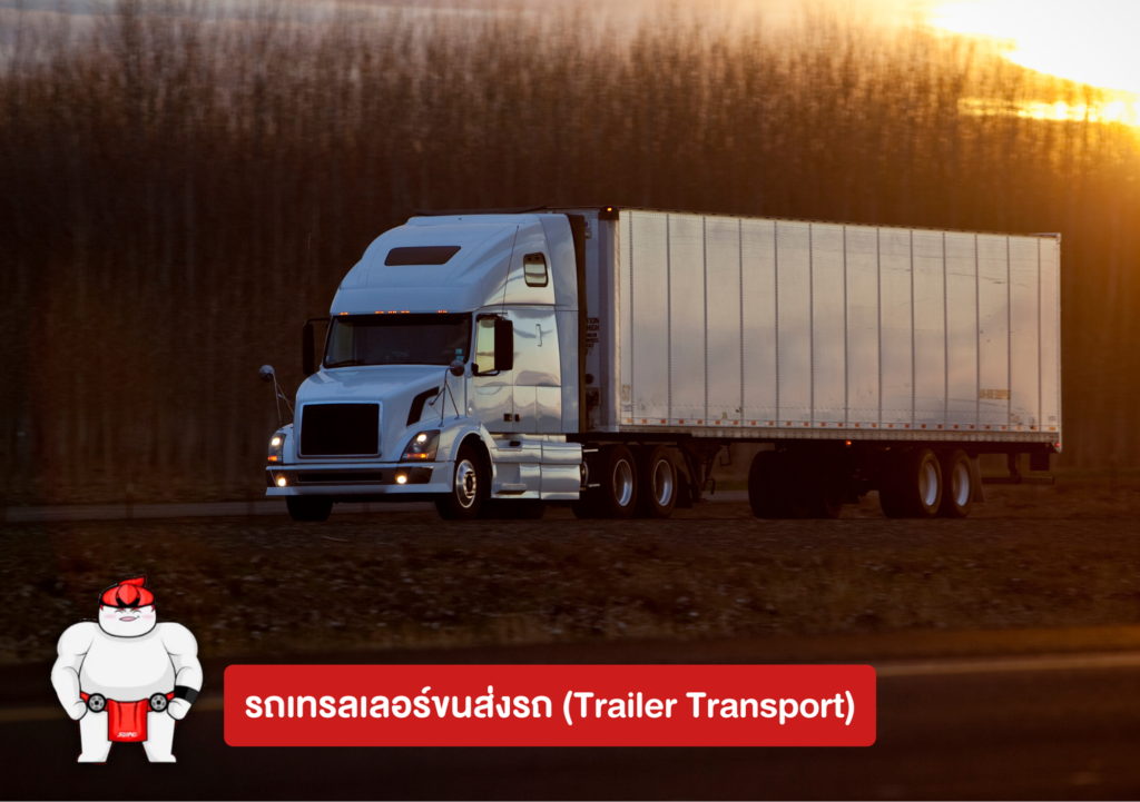 รถเทรลเลอร์ขนส่งรถ (Trailer Transport)